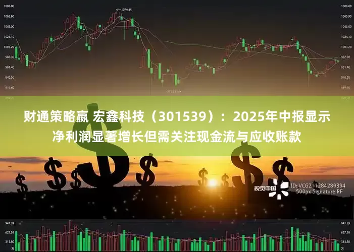 财通策略嬴 宏鑫科技（301539）：2025年中报显示净利润显著增长但需关注现金流与应收账款