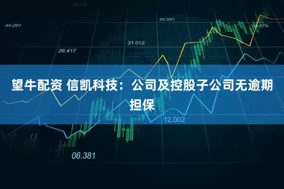 望牛配资 信凯科技：公司及控股子公司无逾期担保